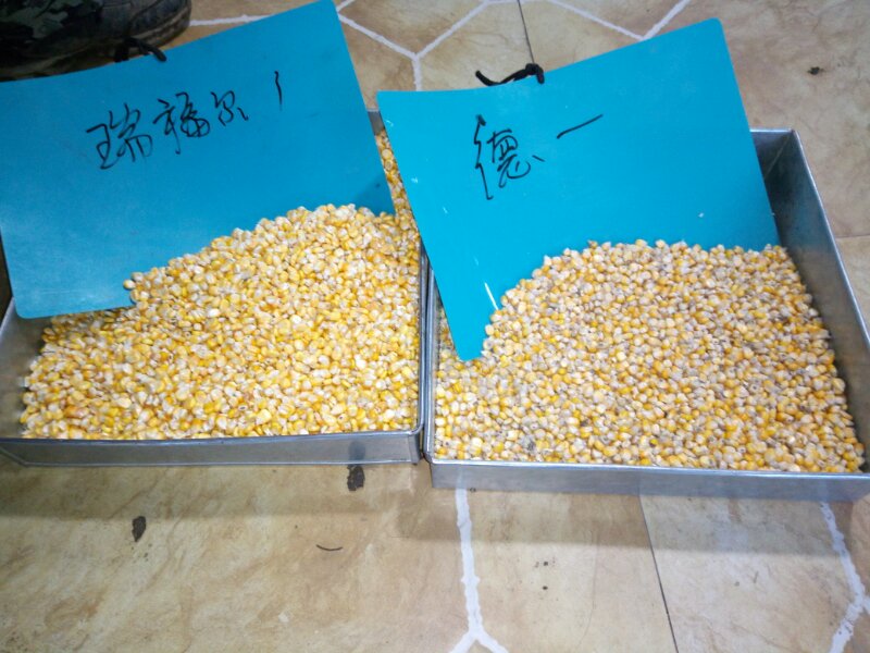 mmexport1510471795537.jpg