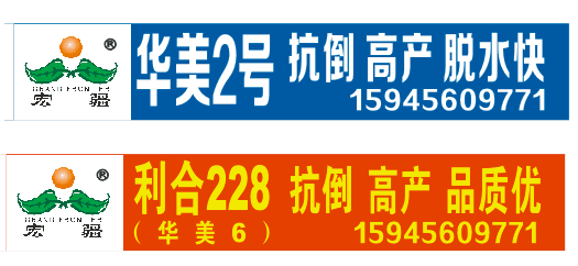 条幅华美.png